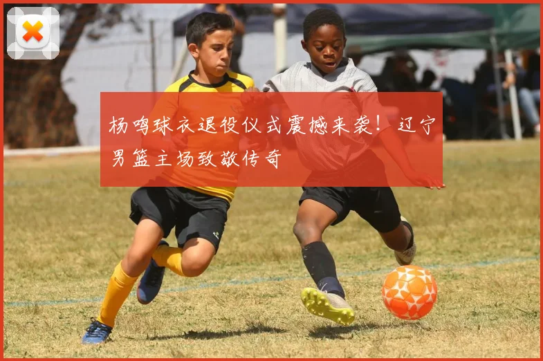 杨鸣球衣退役仪式震撼来袭！辽宁男篮主场致敬传奇